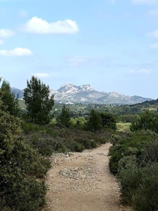 La Pitchoune : Gite Aux Pieds Des Alpilles ムリエス エクステリア 写真