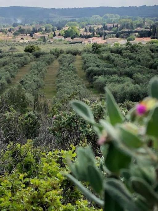 La Pitchoune : Gite Aux Pieds Des Alpilles ムリエス エクステリア 写真